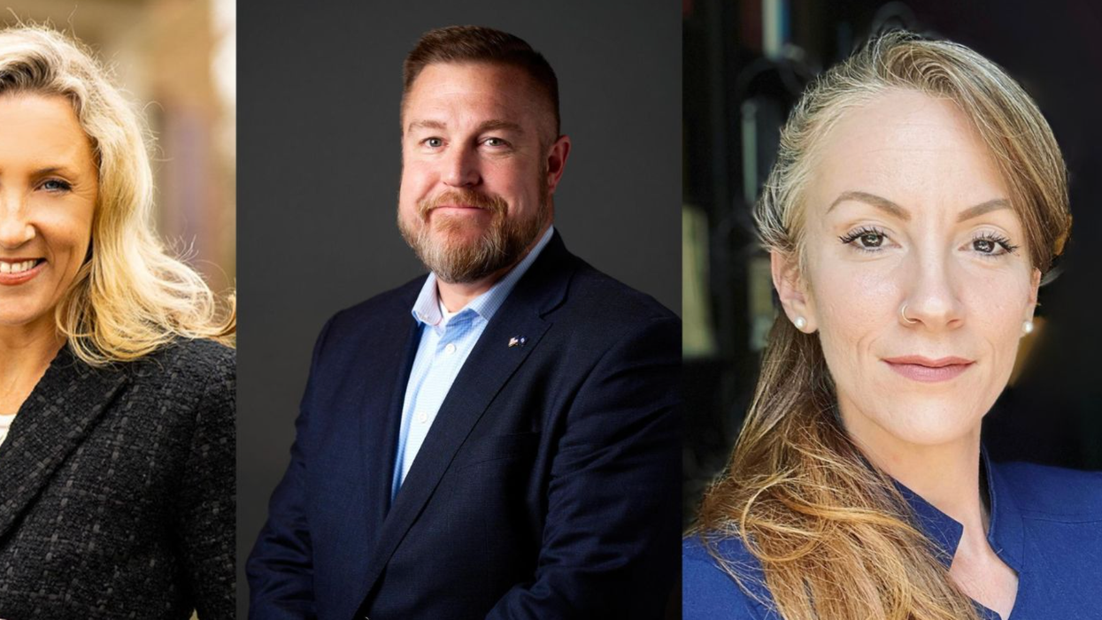 'Free-wheeling' senate race featuring 'wild-card' ex-stripper may determine control of VA Legislature