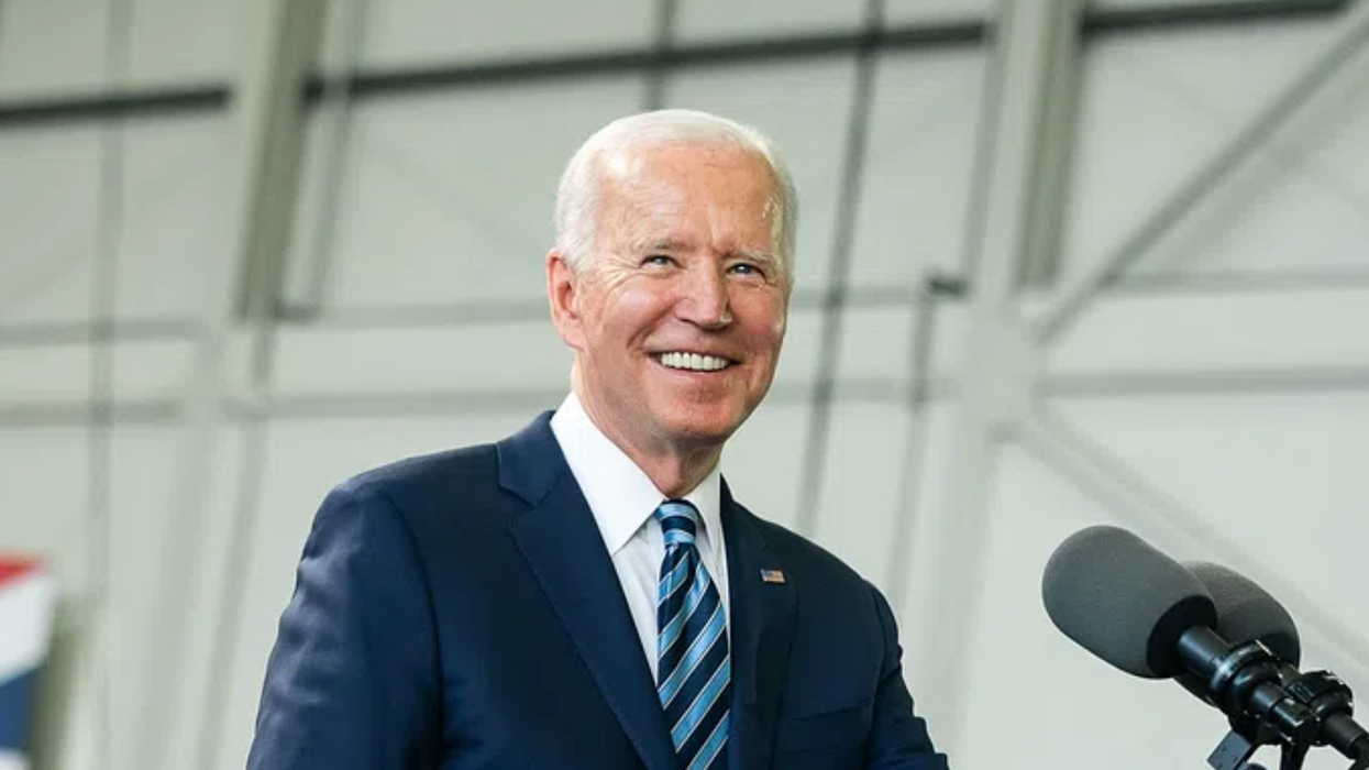 'Dooming democracy': Dem strategists fear 'five-alarm fire' in 2024 with 'selfish' Biden at the helm