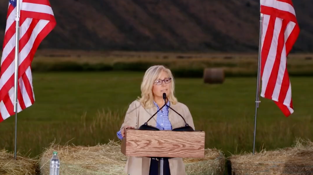 Liz Cheney promises success at 'making sure' Trump won’t win election for her kids’ sake