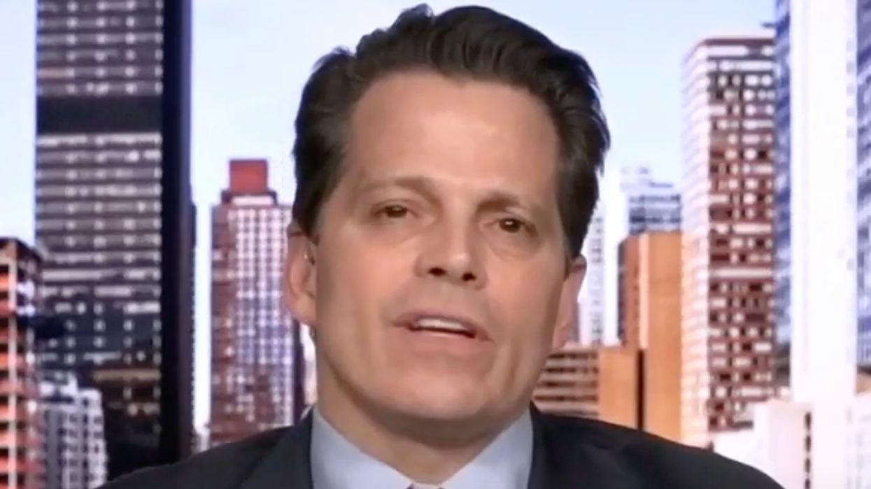 Ex-MAGA staffer says 'spineless' Kevin McCarthy 'could have put Trump through the ropes'