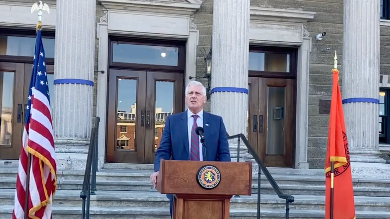'Open season to kill': GOP leader wants to 'deputize' civilians with guns in case of emergencies