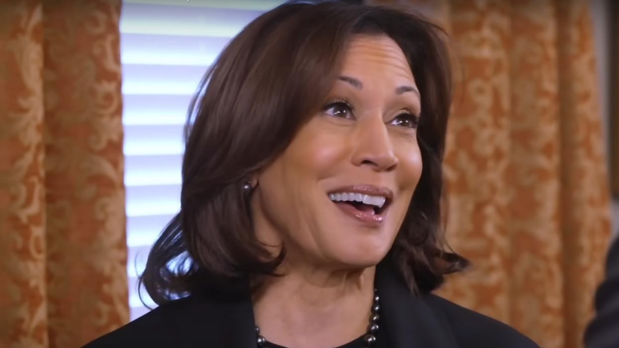 'These numbers are insane': MSNBC panel stunned by massive sign-up of Harris volunteers