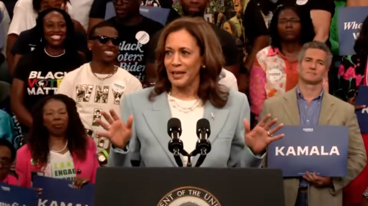 'GOP has no answer for this': Pollster says Harris campaign close to becoming a 'movement'