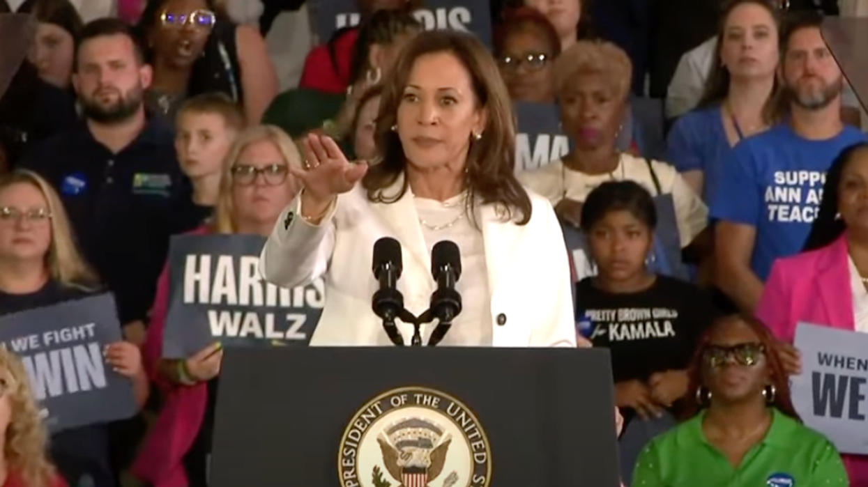 'I’m going to count to 3': Internet erupts after Harris sternly takes down rally protester