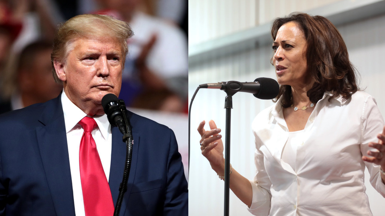 Economist 'surprised' this Harris-Trump survey 'isn’t getting more attention'