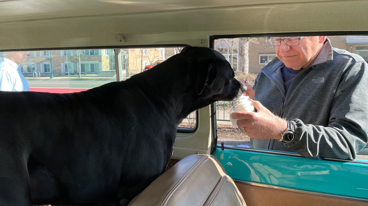 'You deserve all of the ridicule': MAGA brutally mocked for going after Tim Walz’s dog