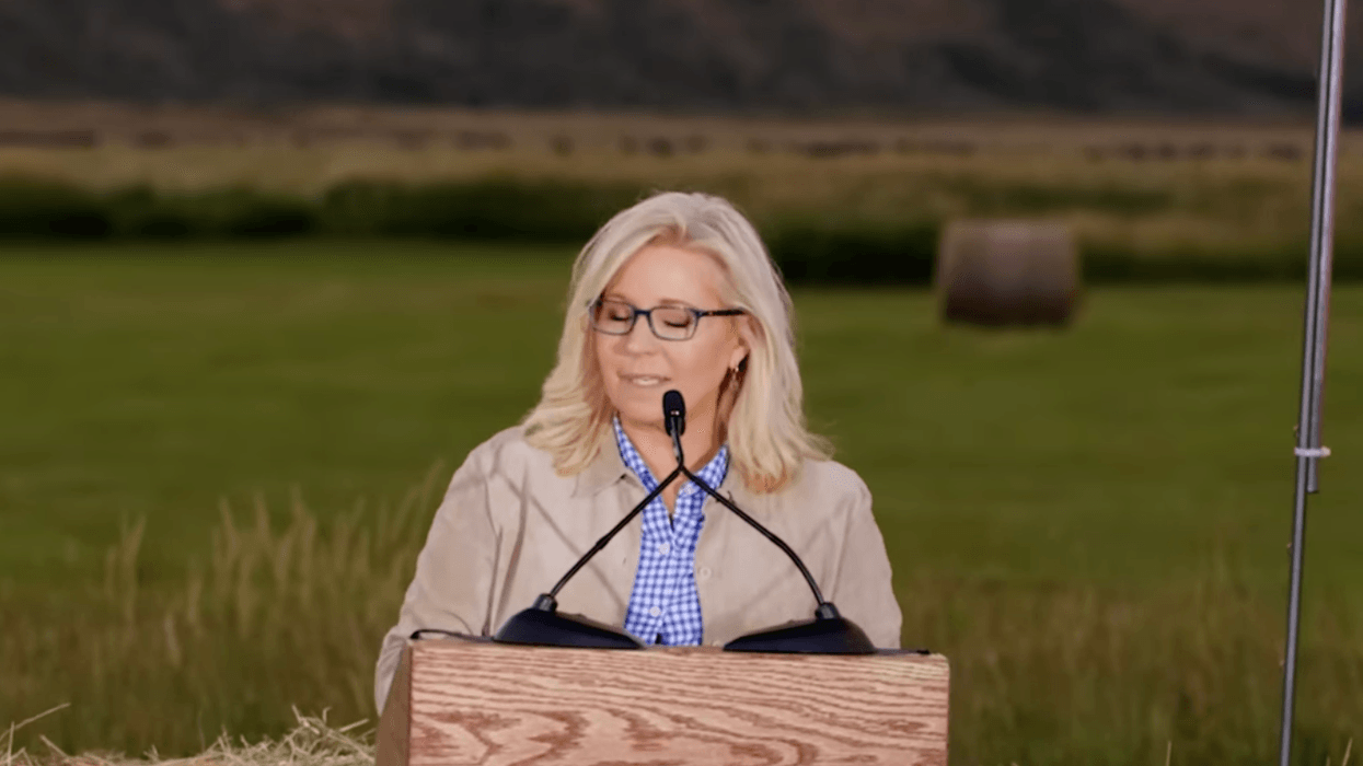 Ex-Rep. Liz Cheney endorses Kamala Harris citing 'danger that Trump poses'