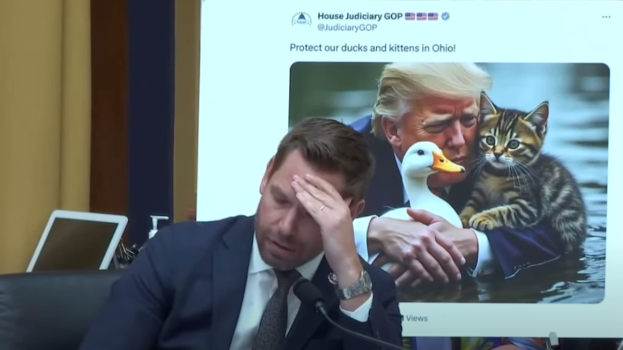 'Are you OK?' Dem confronts Jim Jordan for sharing fake image of Trump protecting a duck