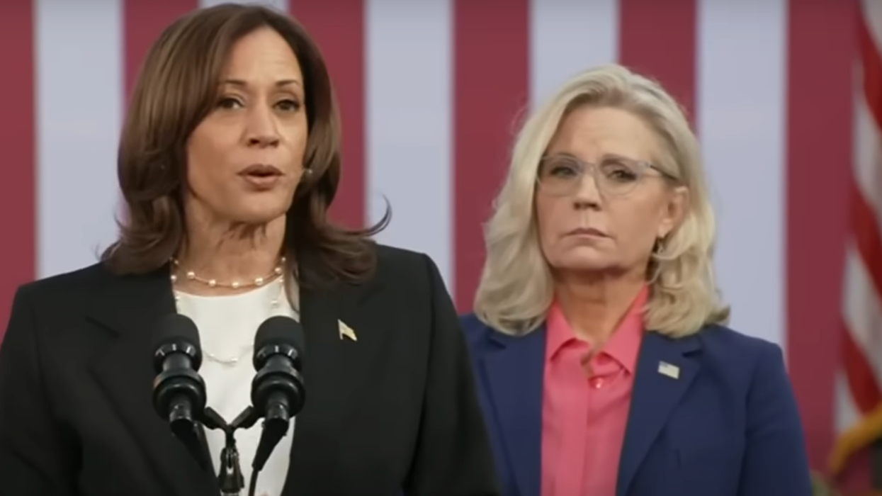 'It’s a real thing': Ex-GOP official says 'whisper caucus' of Republicans will pick Harris