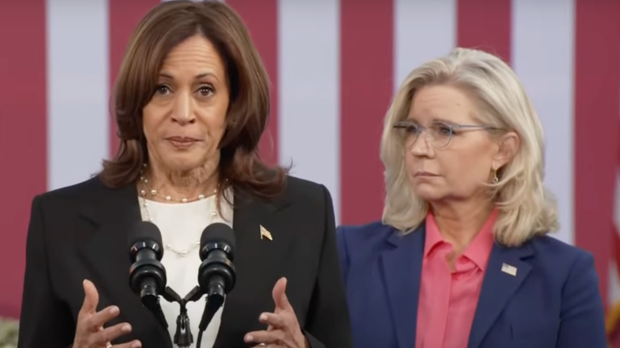 Veteran journalist blames Harris’ failure on 'corporate puppets' who 'stand for nothing'