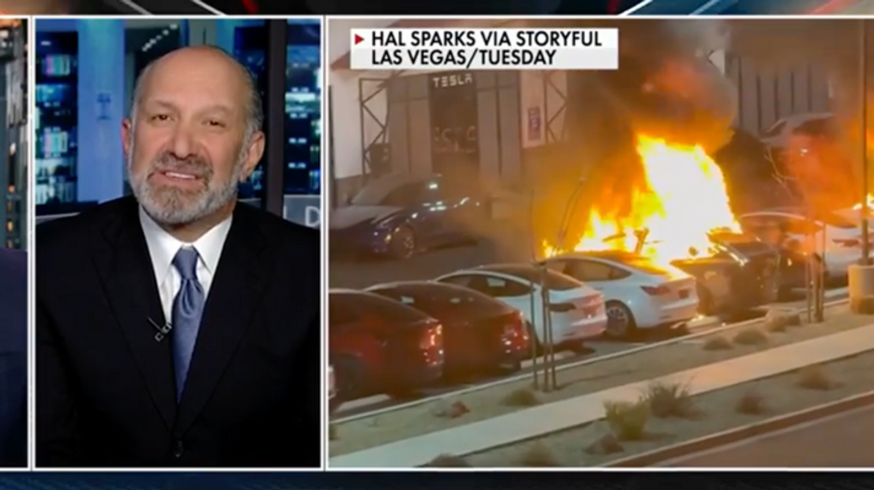 Trump official urging Fox viewers to buy Tesla stock decried as 'abuse of power'