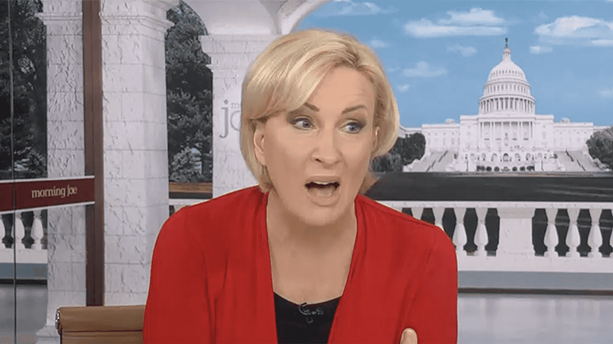 'Who raised these people?' Morning Joe’s Mika goes off on 'bonehead' federal agents in MN