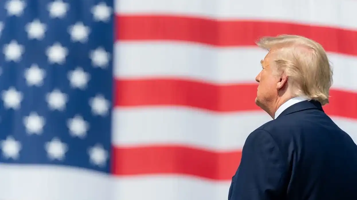 'Liz Cheney’s book changed my mind' about Trump after voting for him — twice: columnist