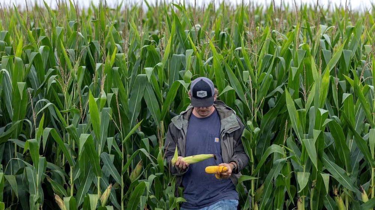 'Can't just flip a switch': Ex-Trump economist warns farmers won't forget admin's betrayal