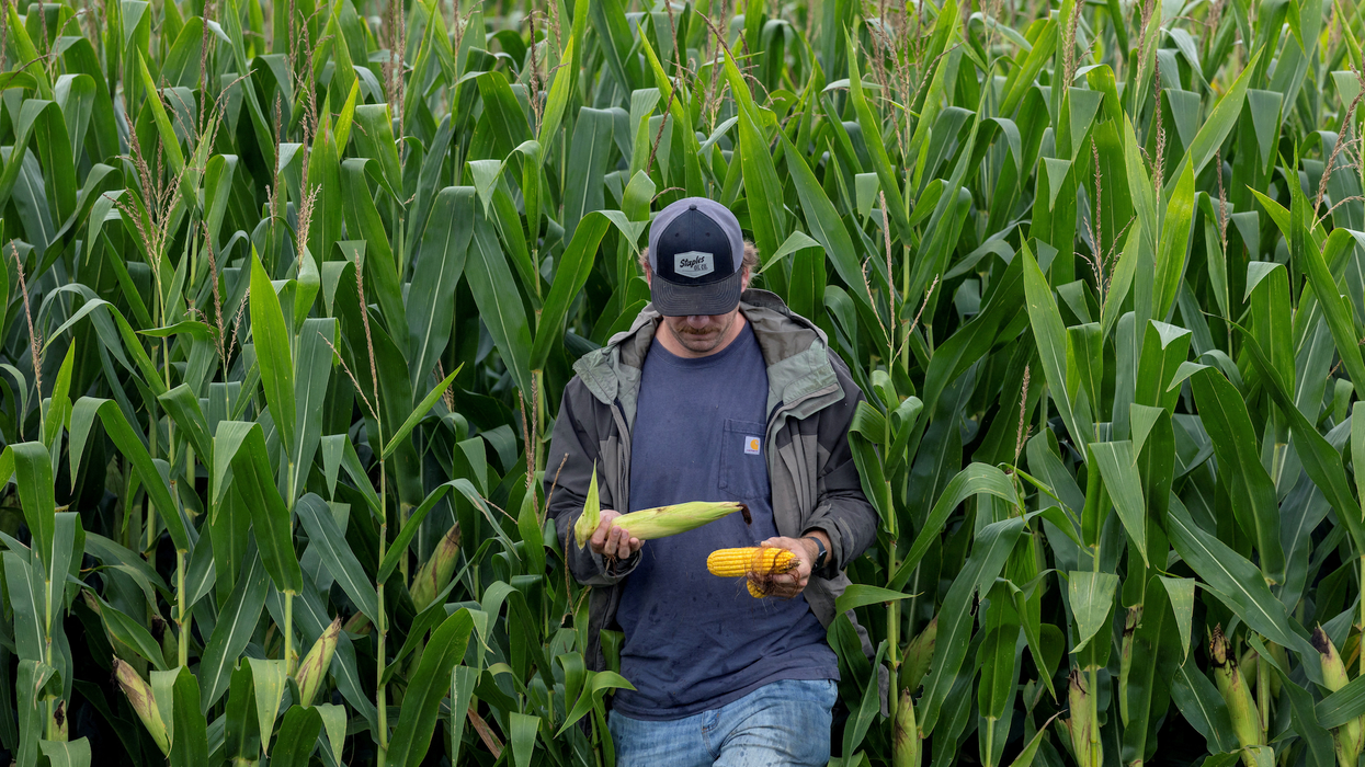 GOP senator from deep-red state admits farmers are 'very upset' by Trump’s policies