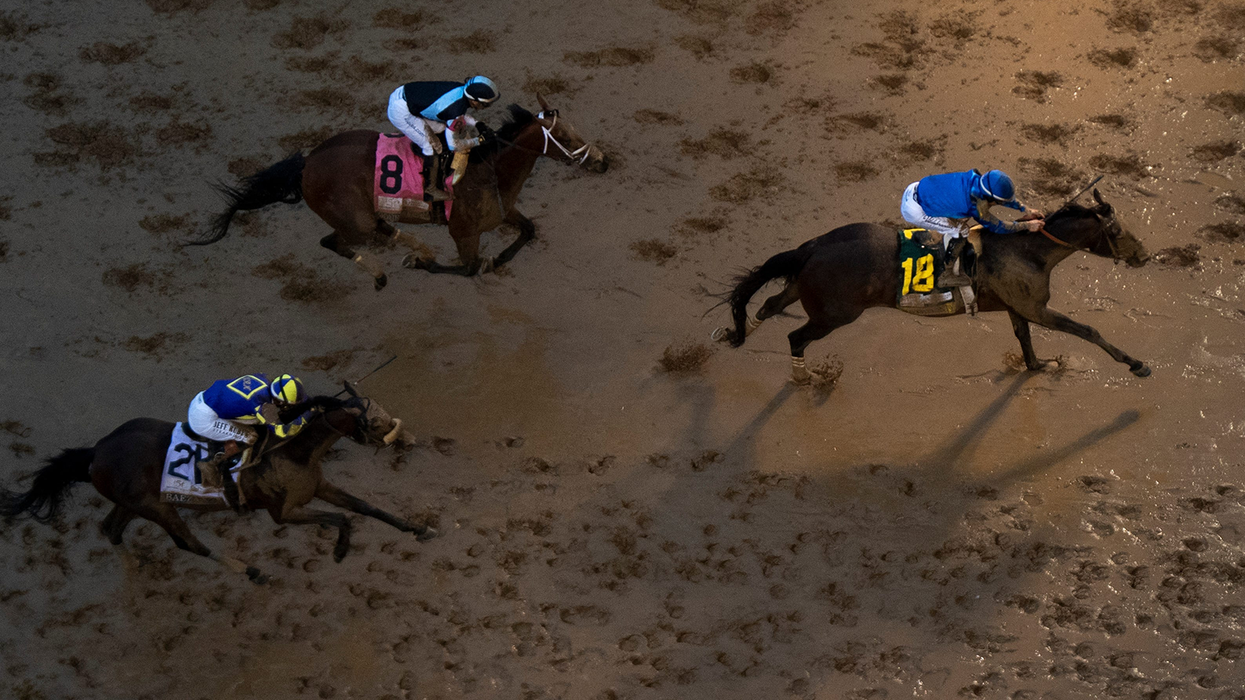 Trump officials cheer Journalism’s defeat at Kentucky Derby — but may have missed a crucial point