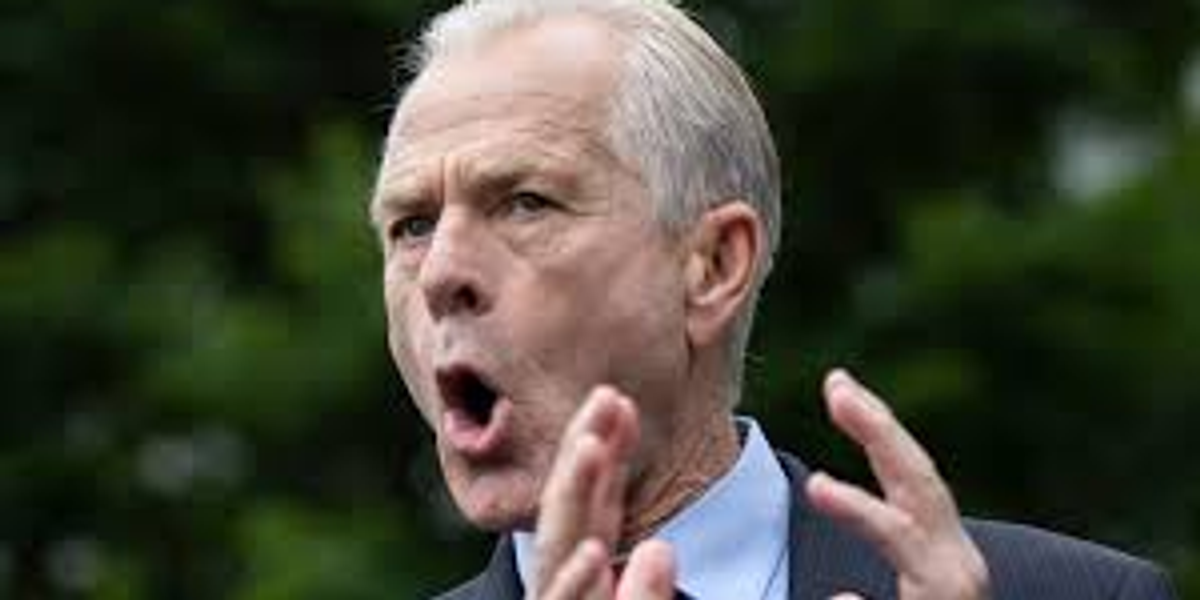 'Bro, you’re already facing charges' Protestor mocks Peter Navarro