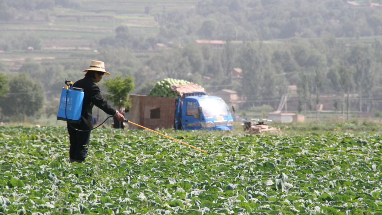 A pesticide linked to brain damage in children could finally be banned