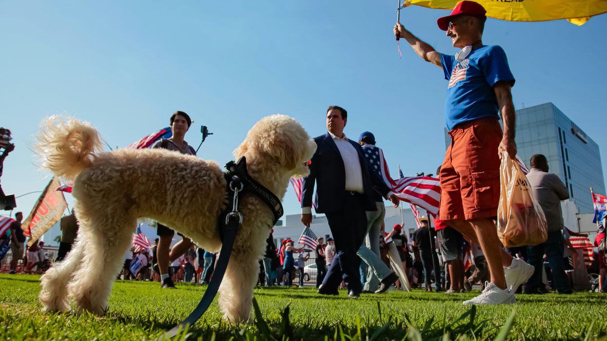 'Insufferable little tyrants': MAGA'S newest 'idiotic' delusion blasted by critics