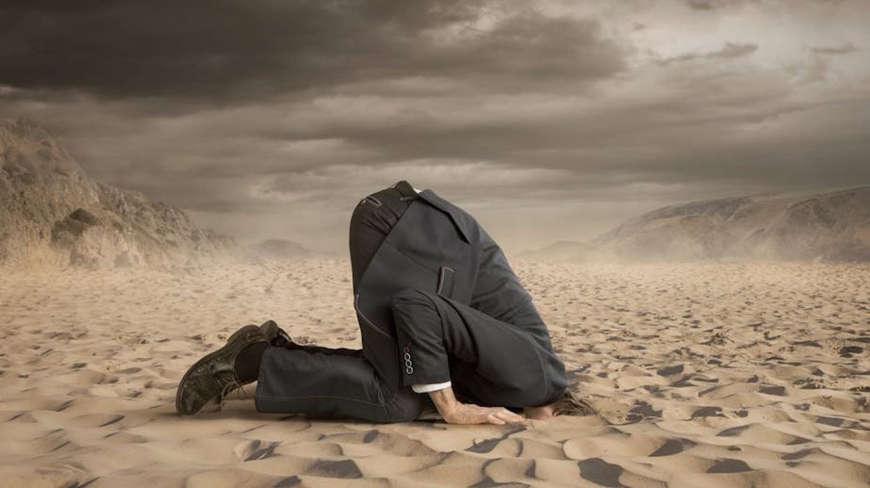 'Not following news anymore': The neuroscience of why Americans are tuning out politics