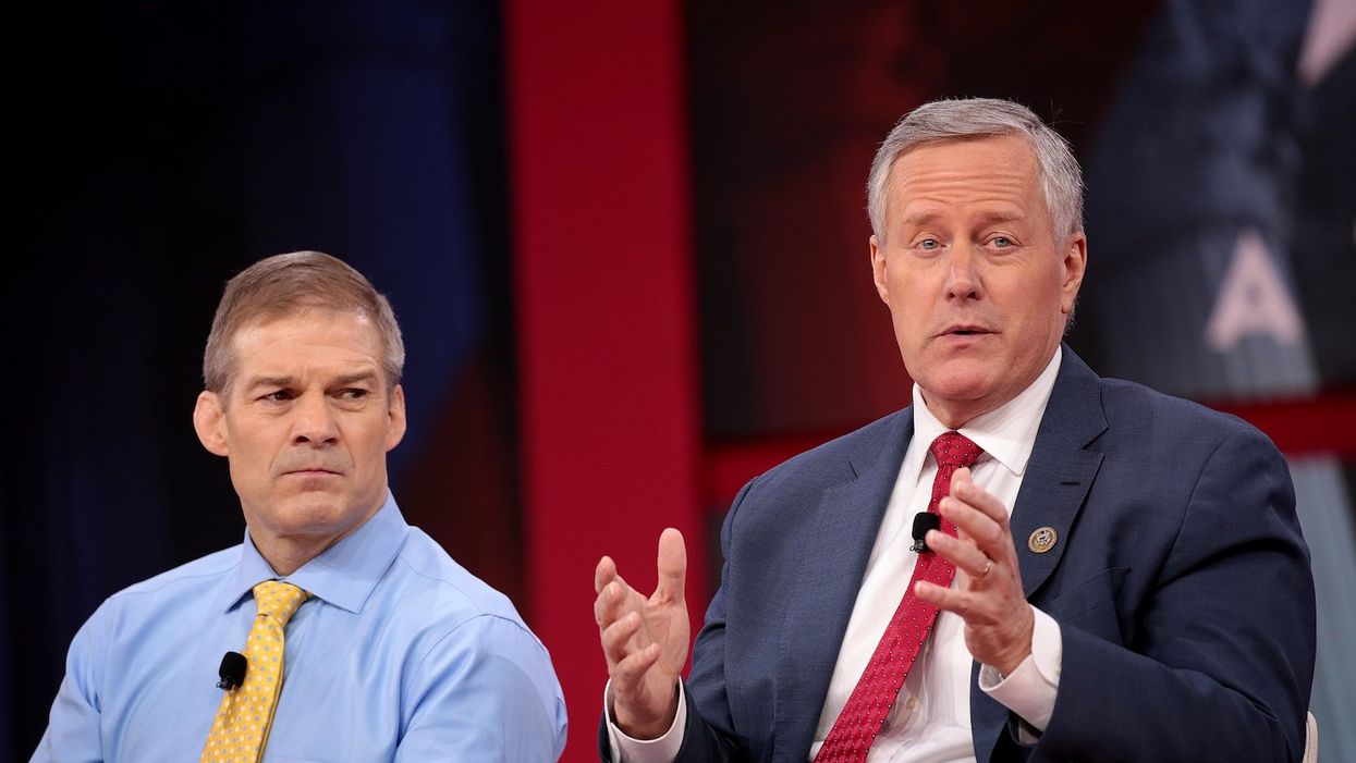 Mark Meadows has dinosaur skeletons in the closet — and that's not even the weirdest part
