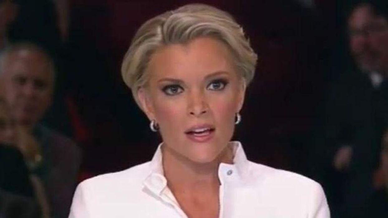 Ted Lieu slams Megyn Kelly after she told him to 'grow up' amid his concerns about the Capitol riots