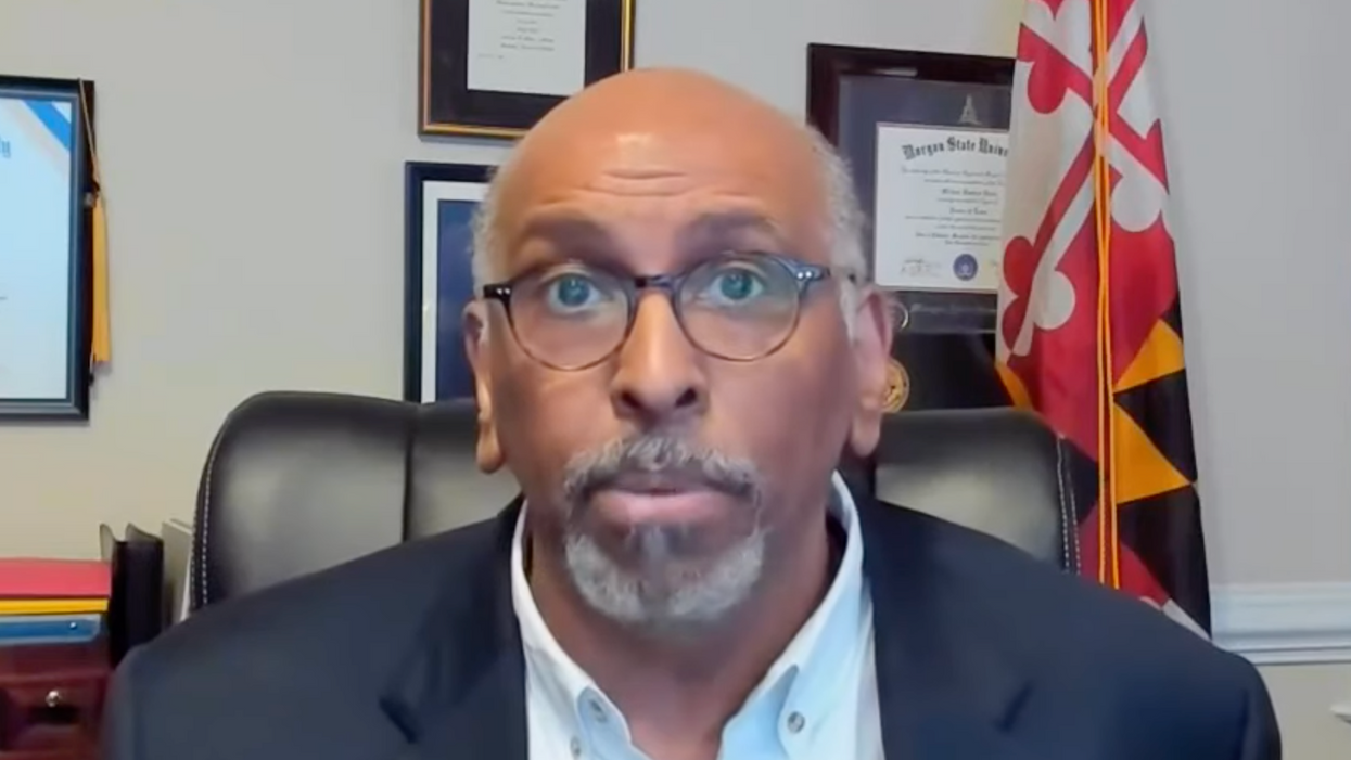 Former GOP chair Michael Steele talks saving post-Trump party: 'Terraform' it or destroy it?