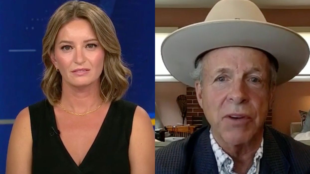 'Pump the brakes': GOP strategist says new Epstein audio is what Trump 'wants you to hear'