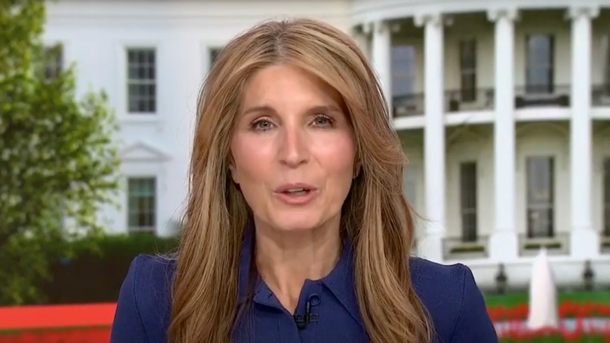 'Made their lives more difficult': Nicolle Wallace guest reveals why Trump is 'vulnerable'