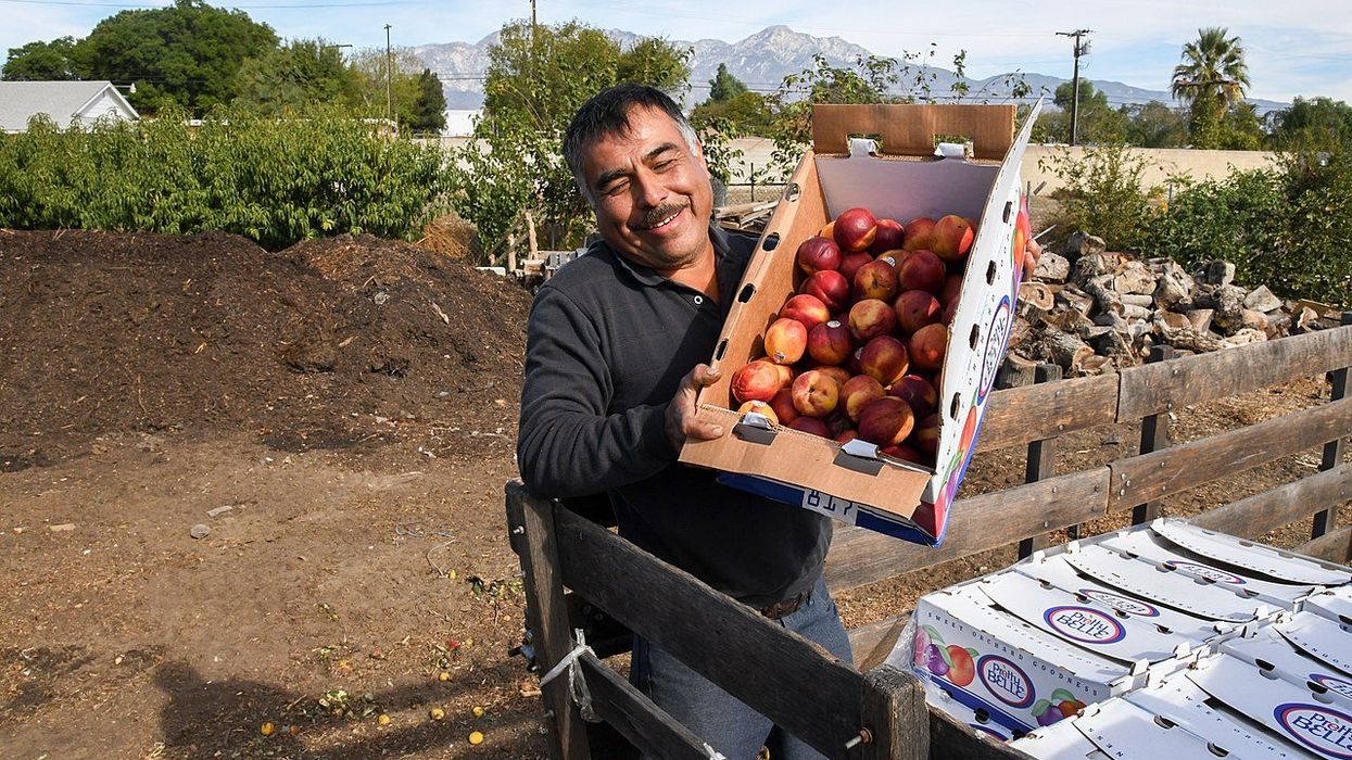 'We’ve never confronted anything like this': Expert warns of 'major problem' facing global food supply