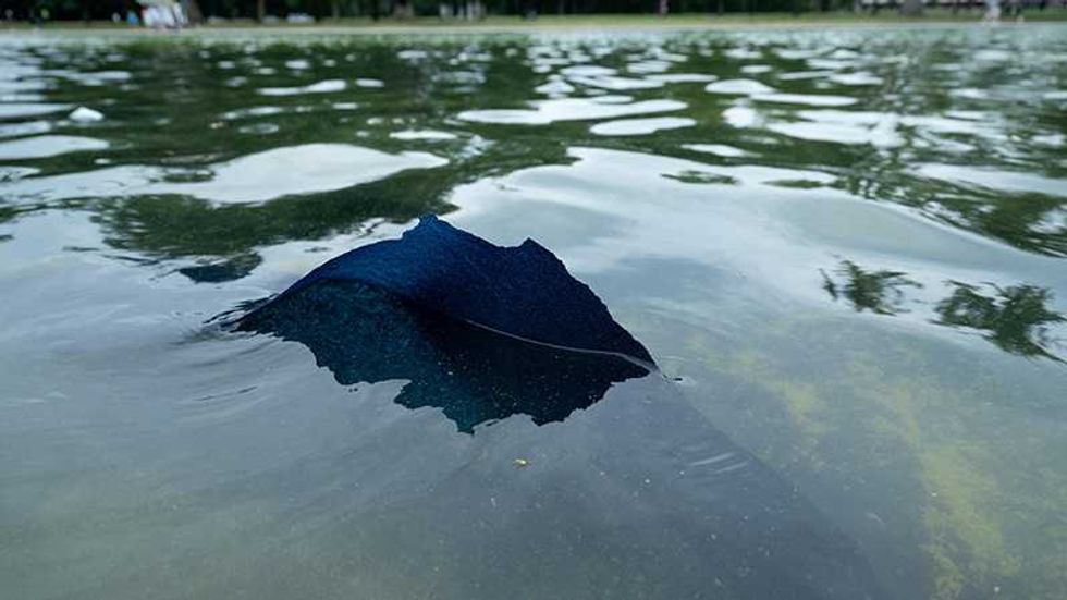 Trump’s algae 'embarrassment' ripped apart as Iran comparison takes on new meaning