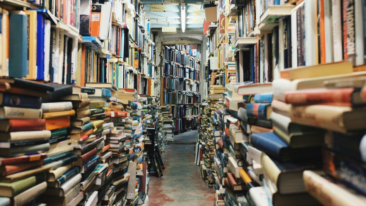 'Lead with fear': MAGA and the role of book bans in fascism and authoritarianism