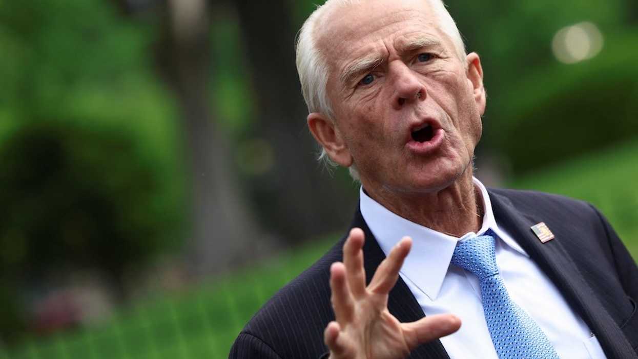Economists tear apart Peter Navarro's 'national security' argument