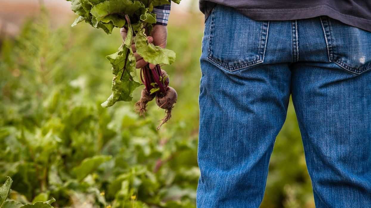 Calls to mental health hotlines rise as farmers buckle under stress