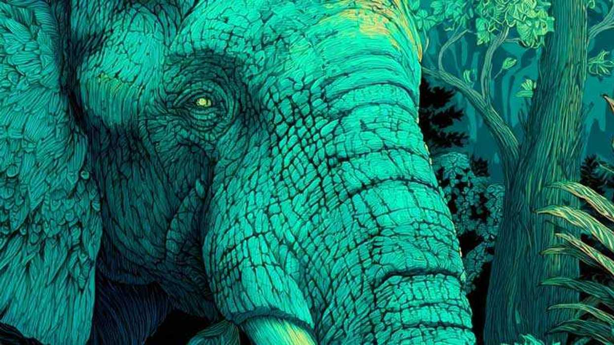 Arizona Green Party candidate accused of being 'stealth MAGA'