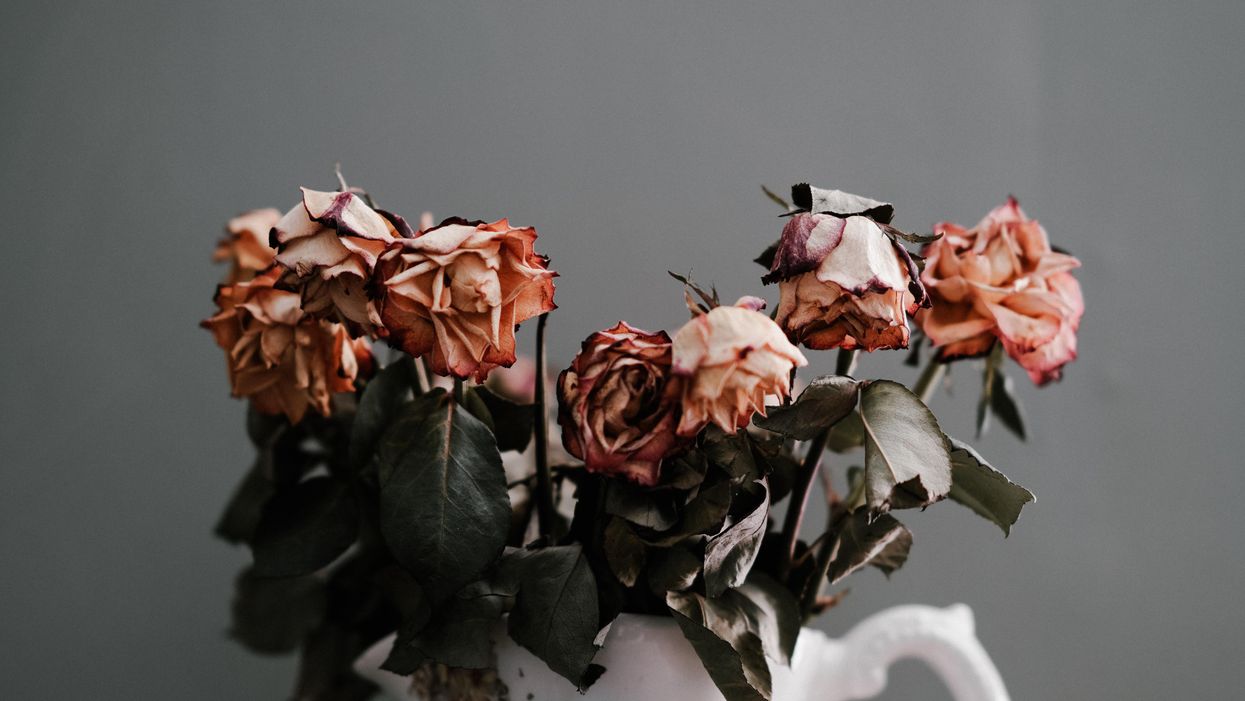 Mother's Day is gaslighting
