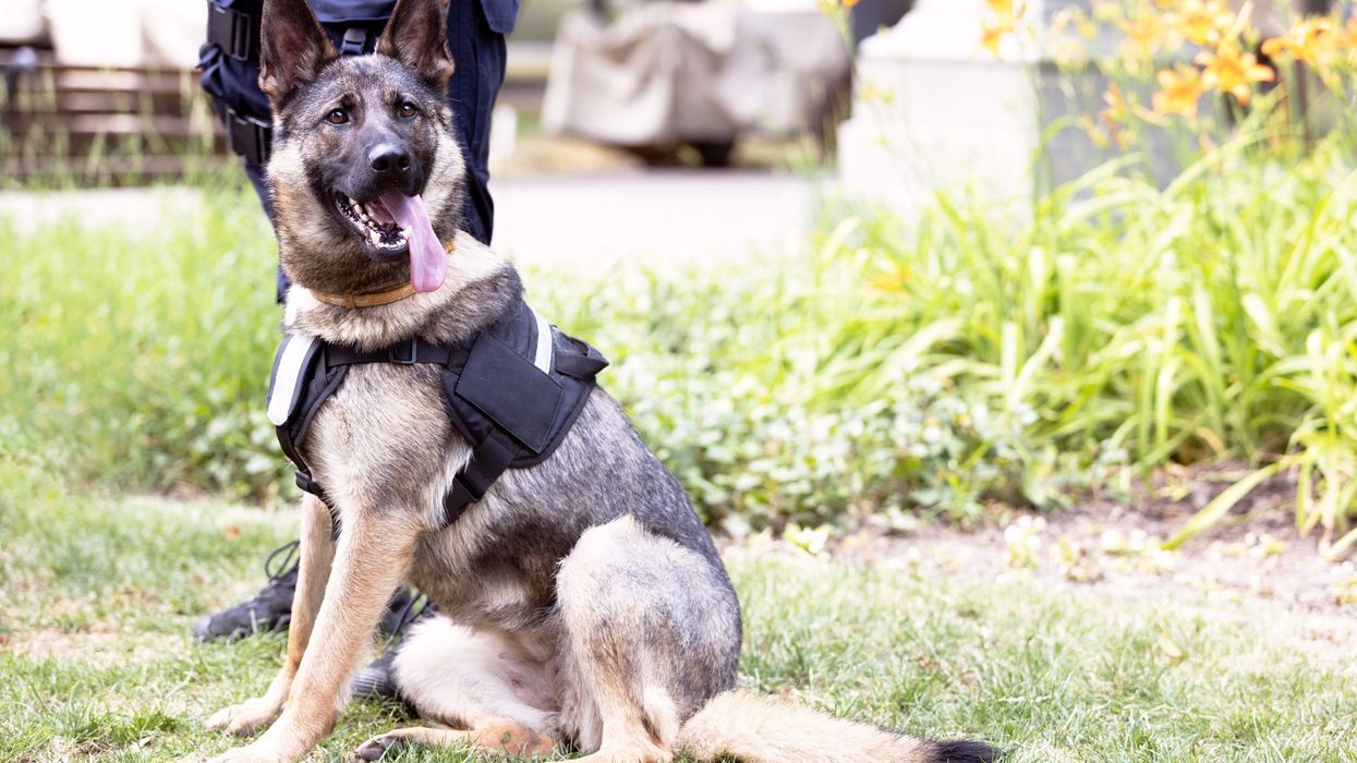 Trump blocks Obama intel chief from attending graduation of dog named after his late wife
