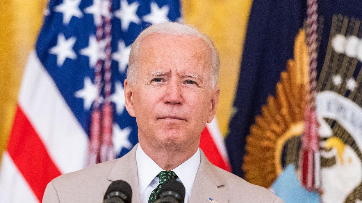 Democrats must embrace the power they have to save democracy — or risk losing both
