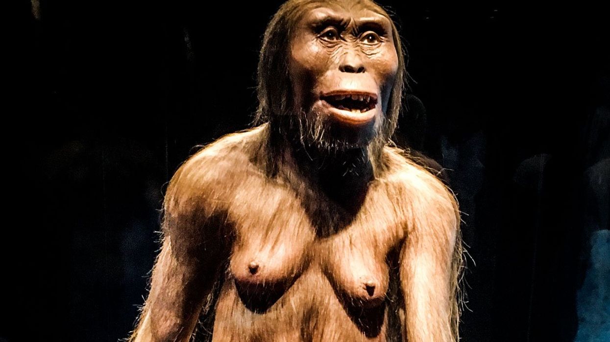 'Deep inside, something told me I had found the earliest human ancestor. I went numb.'