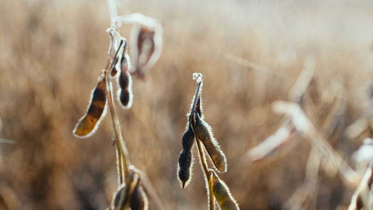 Ohio family farmers describe life under Trump: 'We’re in a hell of a mess'