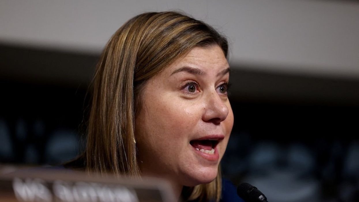 'Selling out': Michigan Dem mocked after claiming voters don't know what 'oligarchy' means
