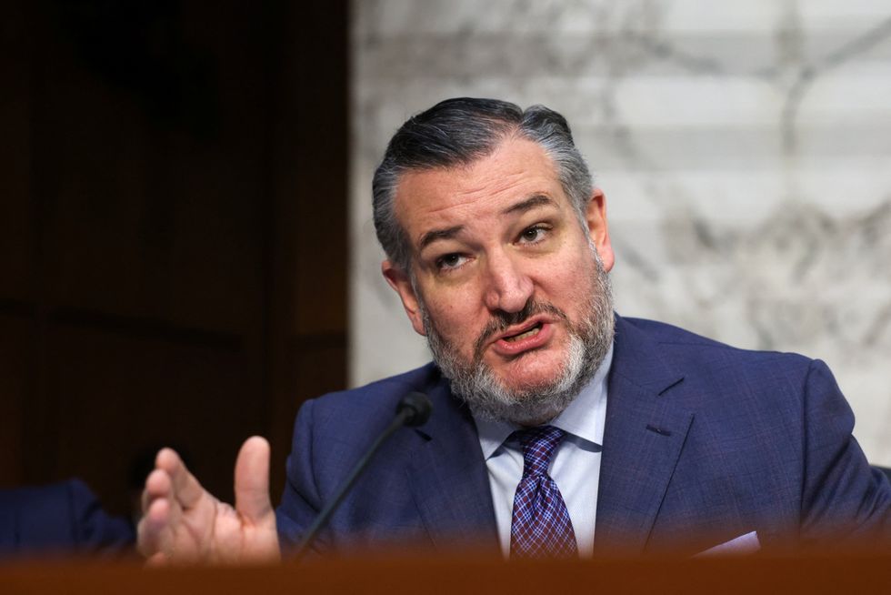 Donor reveals Ted Cruz thinks he can win the presidency — this time with Newsmax’s backing