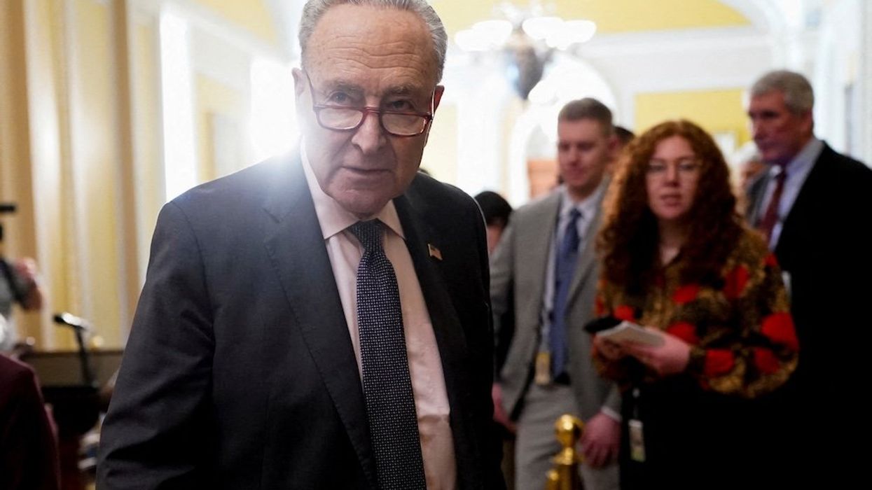 'Maybe he needs to go': Dem rep says America 'can’t afford' to have Schumer cave again