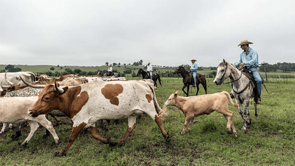 Trump's DOJ is on a collision course with Texas landowners