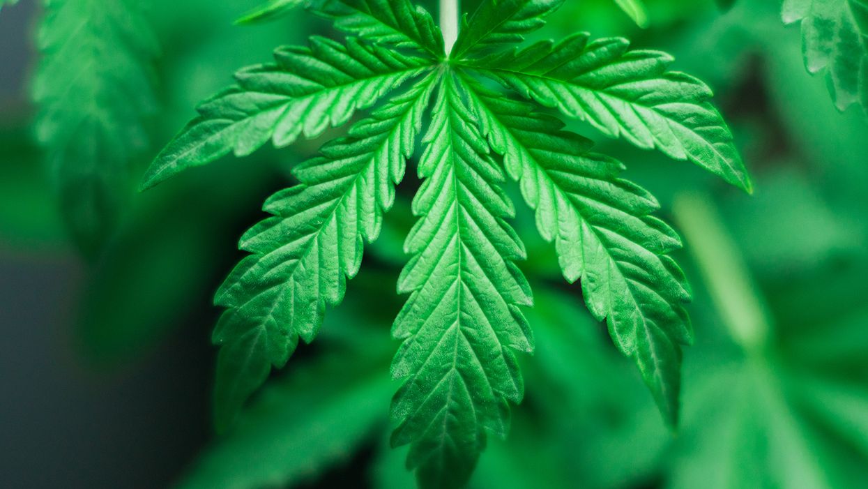 5 Reasons to Be Careful When Consuming Marijuana Edibles
