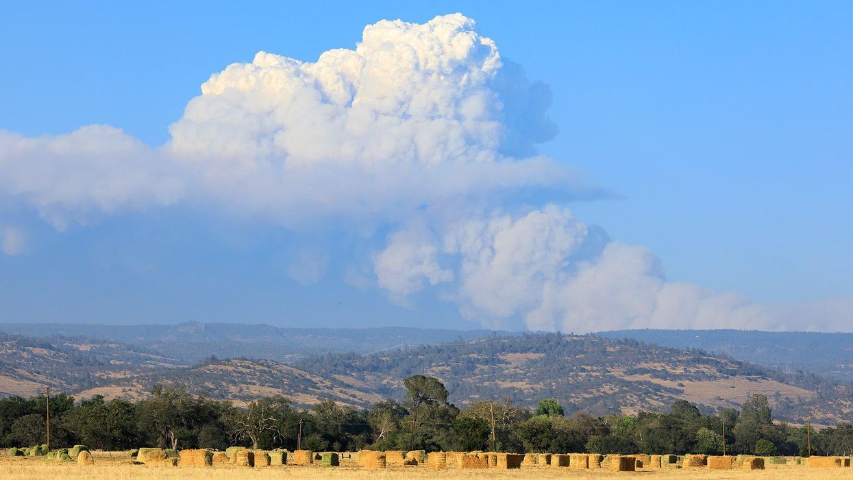 'It looked like an atomic bomb': Welcome to our very own not-so-slow-motion apocalypse