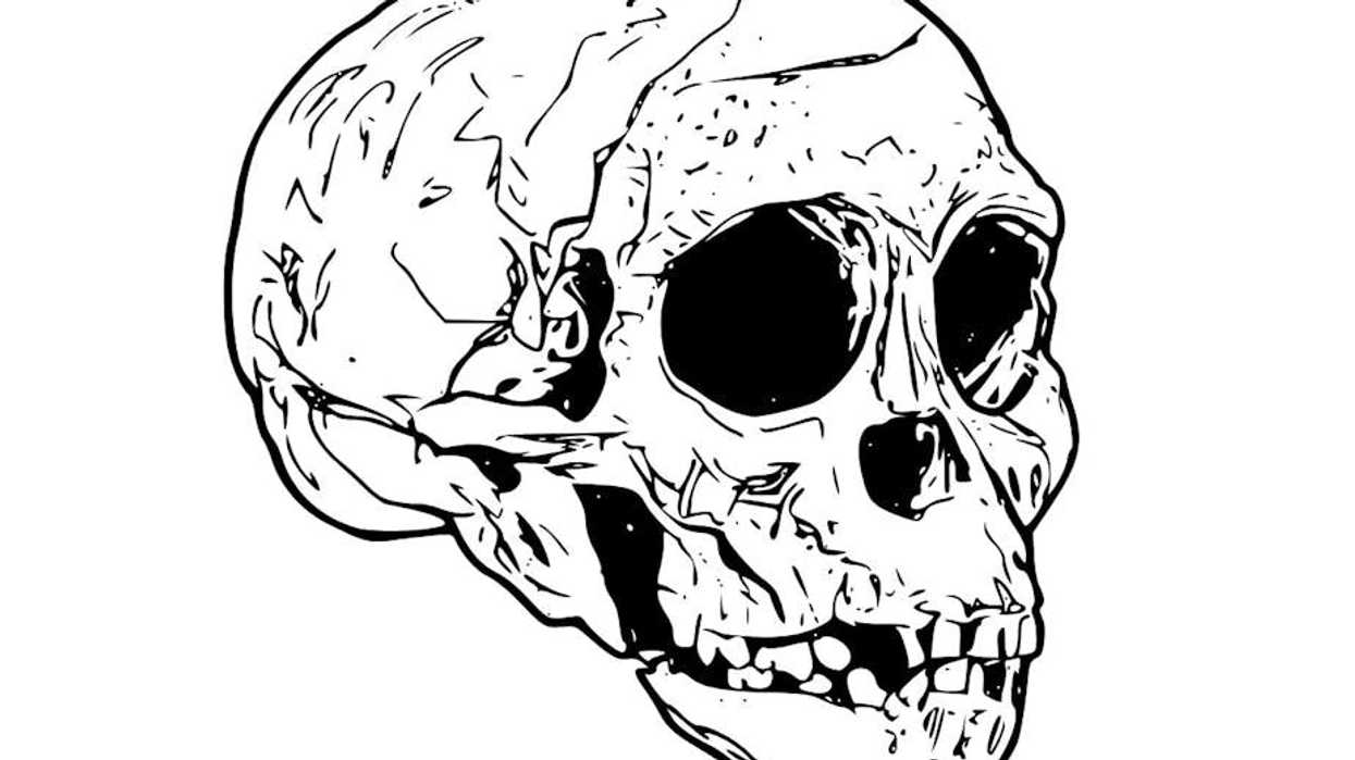 Taung: The fossil skull that rocked the world