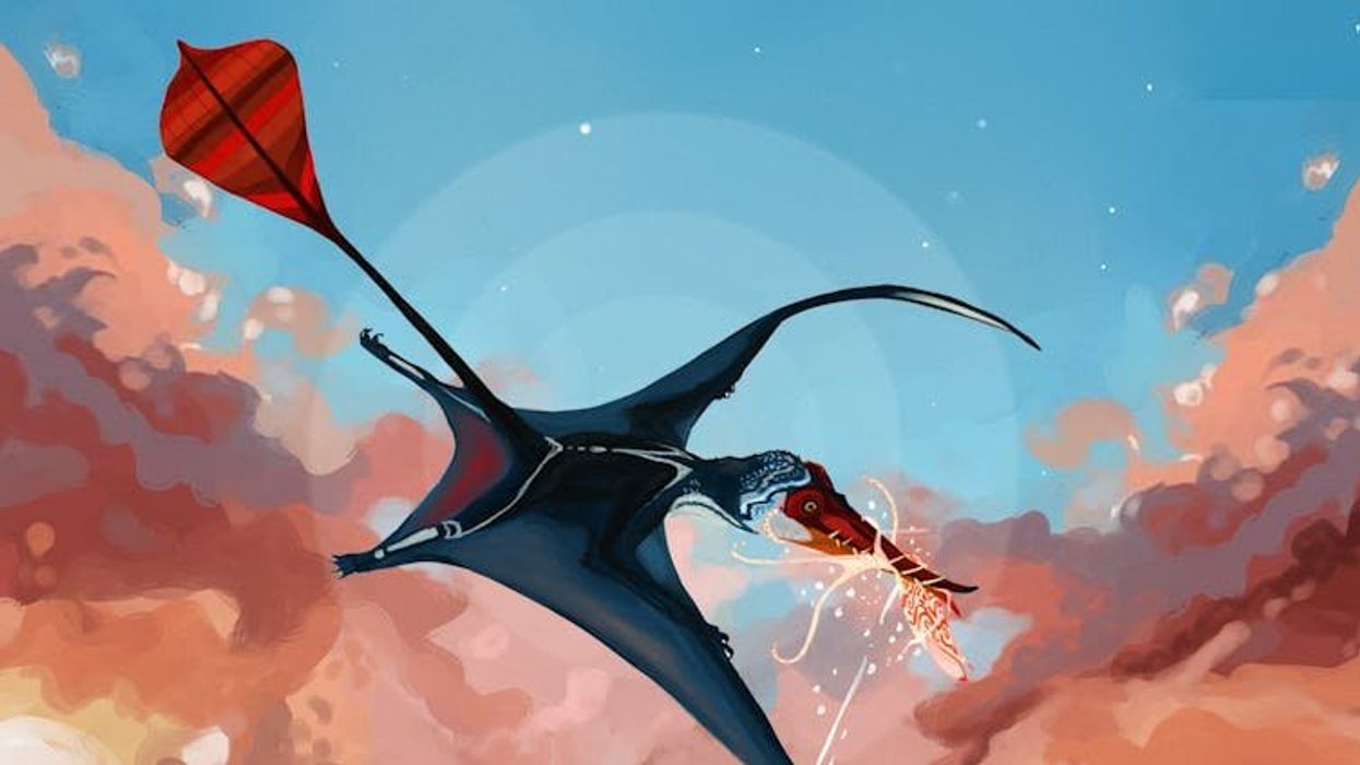 How ancient flying reptiles ruled the skies: new research