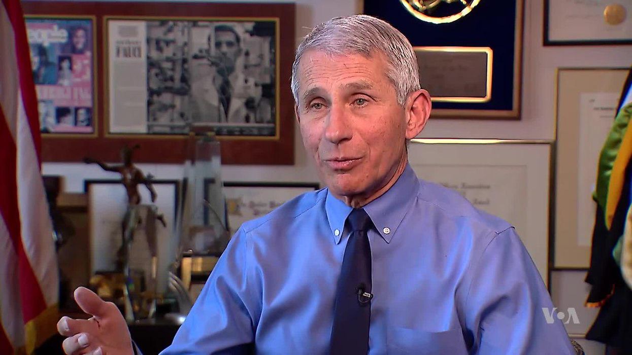 Fox News promotes provocateur who called for 'kill shot' against Dr. Anthony Fauci
