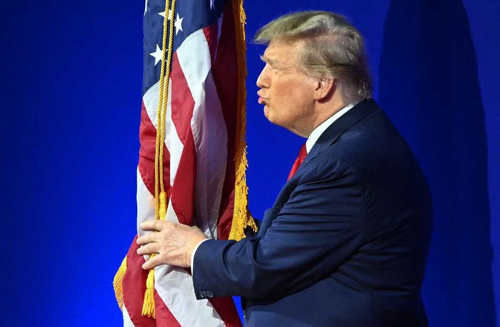 'MAGA hat on a stick': Americans say red-white-and-blue now the flag of Trump